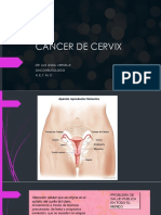 Cancer de Cervix Diapos