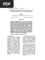 Download Jurnal Identifikasi Bakteri Patogen by Taufiq Ali SN51851515 doc pdf