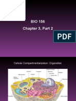 BIO156 Chapter 3 Part 2 Powerpoint