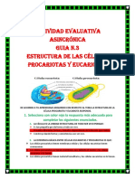 ACTIVIDAD_EVALUATIVA_ASINCRONICA_N.3__ESTRUCTURA_DE_LAS_CELULA_PROCARIOTA_Y_EUCARIOTA