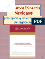 Nem Orientaciones y Principios Pedagogicos