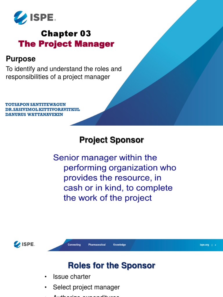 Project Manager Roles and Responsibilities | PDF | Leadership | Marketing