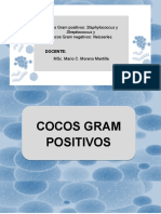 Cocos Gram Positivos y Negativos - Grupo 3