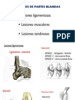 Lesiones de Partes Blandas