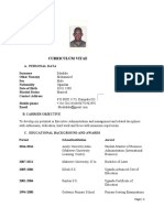 CV Curriculum Vitae Summary for Experienced Professional