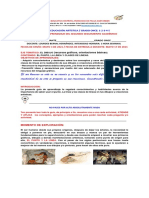 I. E .D. FCO. DE PAULA SANTANDER. Guía N°1 ARTÏSTICA SEGUNDO SEGUIMIENTO PDF