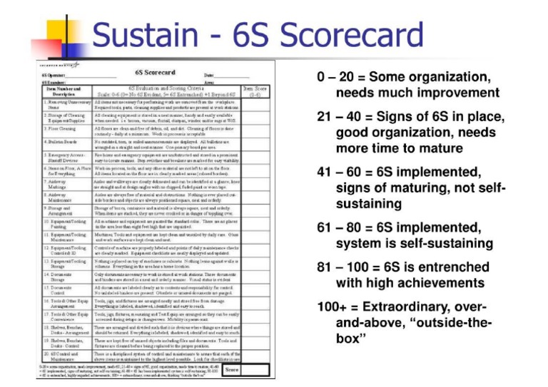 6s Audit Template | PDF