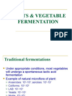 Fermented Fruits & Vegetables Guide