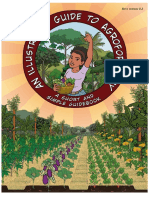 Illustrated Guide To Agroforestry - by João Paulo Becker & Lotufu Junior