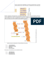 REPLICACION DEL DNA