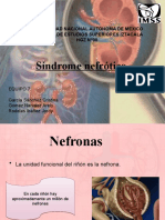 Sindrome Nefrotico