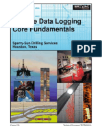 Surface Data Logging Core