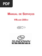 MANUAL DE SERVIÇOS VBLADE 250CC