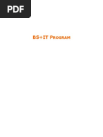 NIIT BS+IT Program