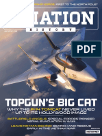Topgun's Big Cat: f-14 Tomcat