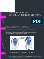 Sistema nervioso central-embriologia