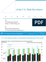 Implication of U.S. Shale Gas Revolution