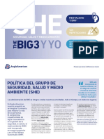SPA - AA1120 SHE Policy Interactive