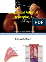 Congenital Adrenal Hyperplasia: Presented By: Ahmad Fazwan Junaidi