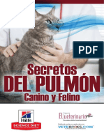 Libro Secretos Pulmon Final