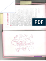 Encontro de Meninas - Livro Manual Da Princesinha