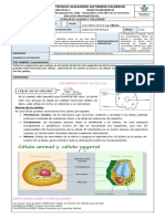 GUIA LA CELULA JULIO 26 - 2021