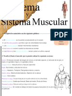 Sistema Oseo y Sistema Muscular