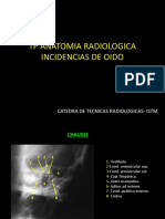 Anatomia Radiologica - Oido