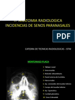 TP Anatomia Radiologica - Senos Paranasales