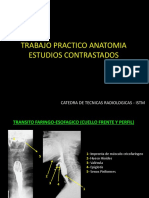 ANATOMIA_RADIOLOGICA_ESTUDIOS_CONTRASTADOS