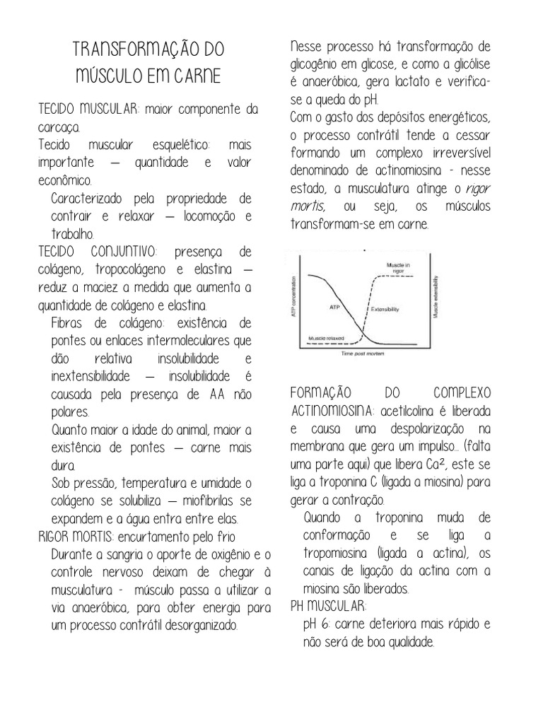 Exercícios sobre Respiração e Fotossíntese | PDF | Respiração celular |  Mitocôndria, image size:768x1024