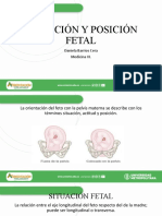 Situación y Posición Fetal - Dana