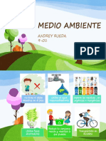 Medio Ambiente - Andrey Rueda - 9-01