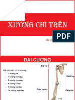 Xương KH P Chi Trên