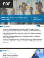 SAP Financial Planning - Cloud