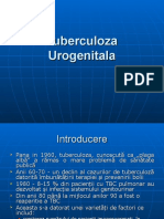Tuberculoza Urogenitala