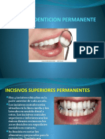 Denticion Permanente