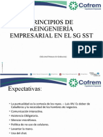 Principios de Reingeniería Empresarial SG SST