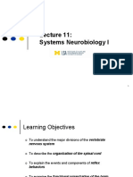 Systems Neurobiology I Lecture