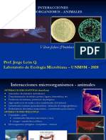 Interacciones Microorganismos - Animales: Vibrio Fisheri (Photobacterium)
