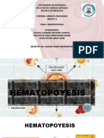 Subgrupo 1 Hematopoyesis