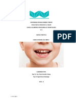 Guia Practica 2020 Ii PDF