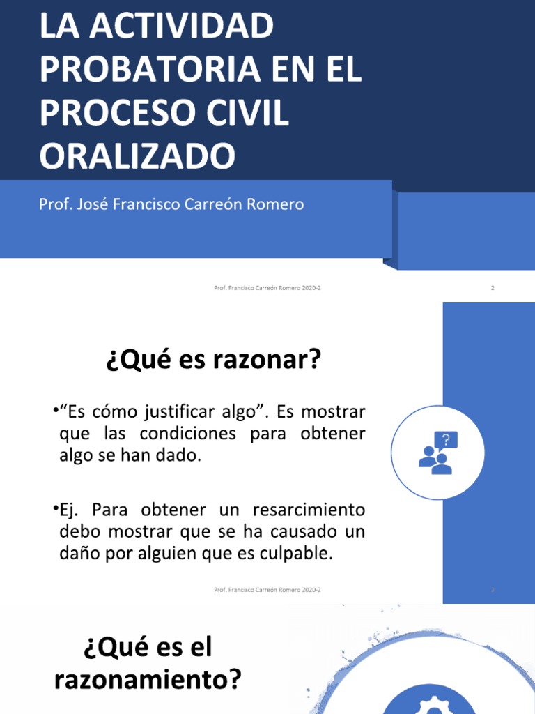 CARREON ROMERO Actividad Probatoria en El Proceso Civil PDF