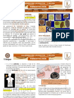 P2-B2. Ascariosis