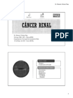 7.- Cancer Renal