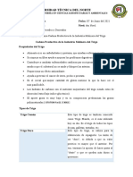 Resumen-Cadena Productiva de La Industria Molinera Del Trigo