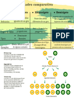 Cuadro Comparativo Homocigoto, Heterocigoto y Hemicigoto.