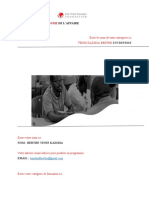 The Tef Business Summary Template 22 (French) - TKB