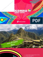 2019 Perfil Turista Perú