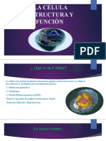 Celula y Funciones